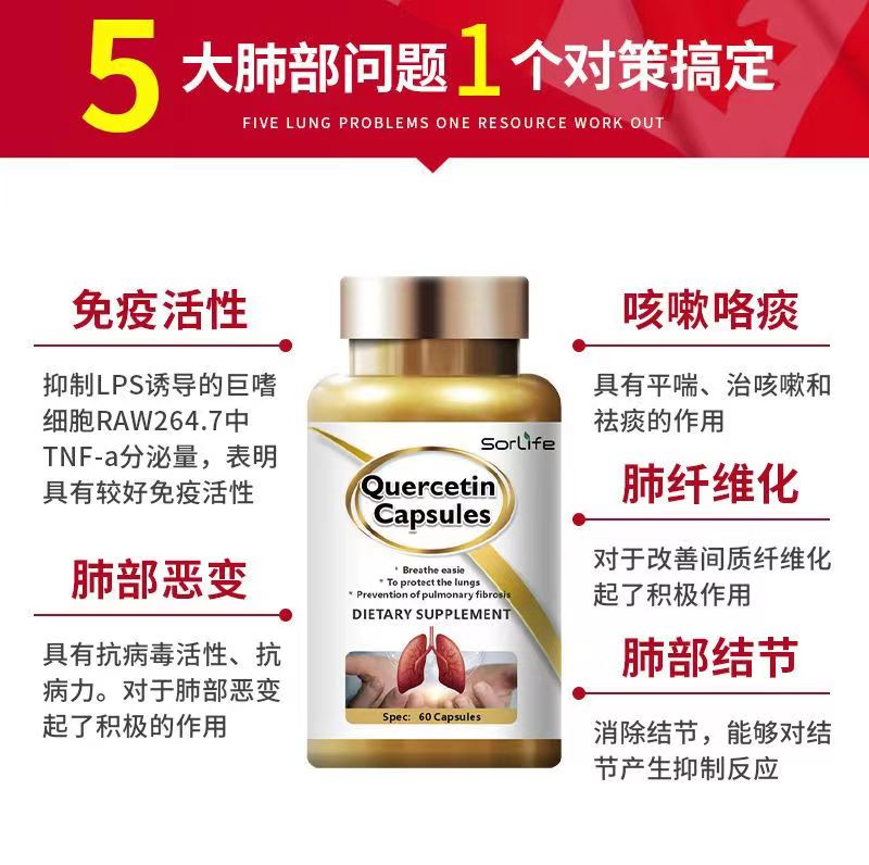 肺槲皮素9.jpg