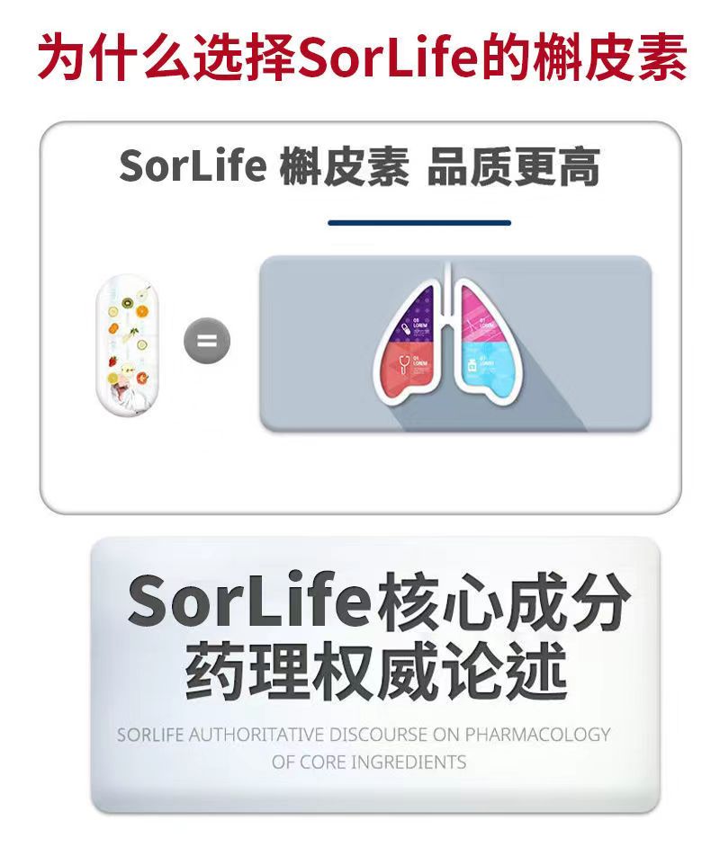 肺槲皮素12.jpg